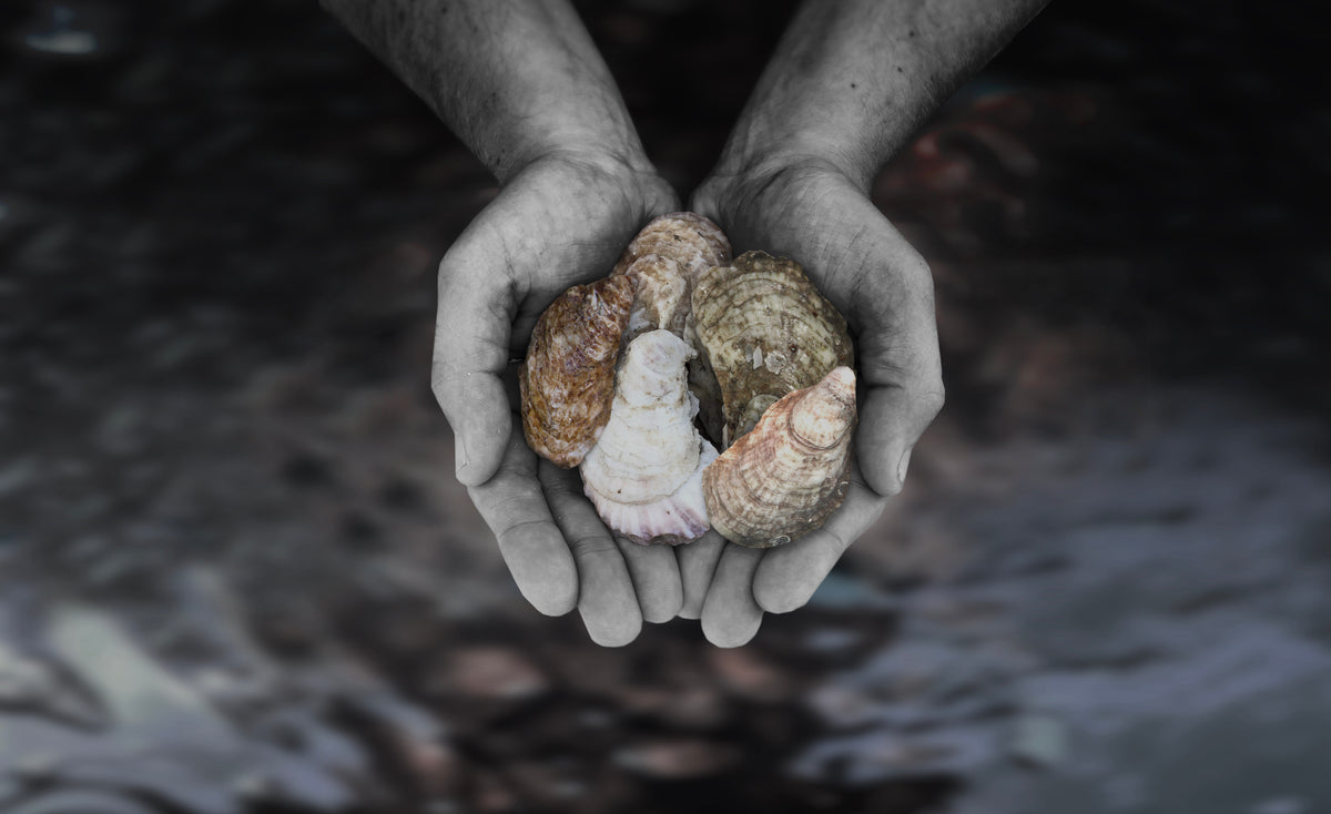 oyster-held-in-hands
